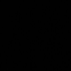 Meet your Posher, Tonicha